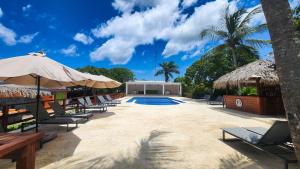 a swimming pool with lounge chairs and umbrellas at Boca de Yuma Adventure in Yuma