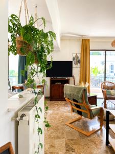 a living room with a chair and some plants at Blossom Apartment Kos in Ampavris