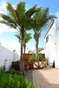 two palm trees in front of a white building at Skilpadvlei Cottage and Studio's in Velddrif