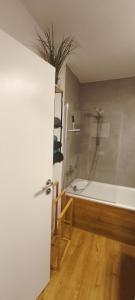 a bathroom with a shower and a bath tub at FeWo-Misterek nähe Großer Garten in Dresden +10 photos