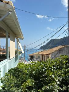 a house with a bush in front of a house at Central Studios in Agios Nikitas pedestrian zone in Agios Nikitas