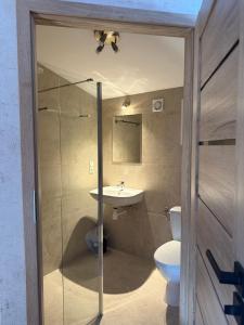 a bathroom with a toilet and a sink at Tadż Mahal Apartament in Sulechów