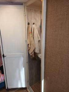 a bathroom with a shower and a toilet and a sink at CHILLY WILLY Retro Caravan & Hot Tub in Jablonov nad Turnou