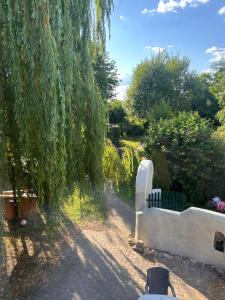 a tree hanging over a path with a white fence at Ferienhaus Garda Hundefreundlich großer Garten Terrasse WLAN in Günthers