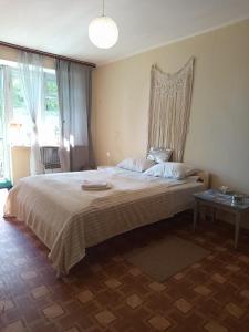 a bedroom with a large bed and a window at Квартира над Парусом in Zhmerynka