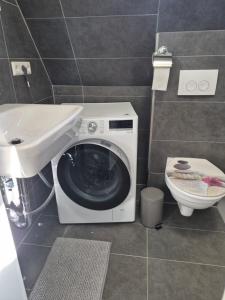 a washing machine in a bathroom with a sink and a toilet at Nektarios Bulus in Kernen +17 photos