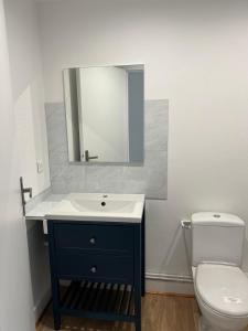 a bathroom with a sink and a toilet at L'Ecrin du Chalet d'Arguel in Pugey +12 photos