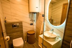 a bathroom with a sink and a toilet and a mirror at Wolf Apartments Zabljak in Žabljak +67 photos