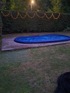 a large blue frisbee on the ground in a yard at Noclegi Radoch Mazury in Ruciane-Nida