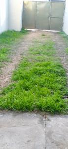 a field of green grass next to a building at El ROBLE 2 in Córdoba