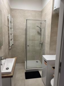 a bathroom with a shower and a sink at Apartament centrum-rynek Gorzów Wlkp. in Gorzów Wielkopolski