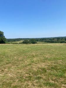 a field of grass with trees in the distance at Hilltop Farm Camping in Haselbury Bryan