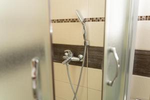 a shower in a bathroom with a hose at Golden BIS, Subotica in Subotica +33 photos