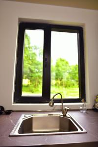 a kitchen sink in front of a window at Weekend Borjomi in Borjomi +27 photos