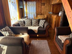 a living room with a couch and two couches at Refugio Barbara Coñaripe in Coñaripe