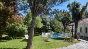 a yard with a swimming pool and a palm tree at Casa La Bendición in Mar del Plata
