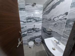 a bathroom with a sink and a toilet and a mirror at Saira Mahal HOTEL in Ajmer