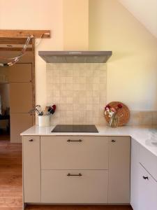 a kitchen with a stove and a white counter top at Dreamy Perche landscape in Bivilliers +28 photos