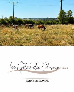 a group of horses grazing in a field at Les Gîtes du Chemin - La Colombière in Paray-le-Monial