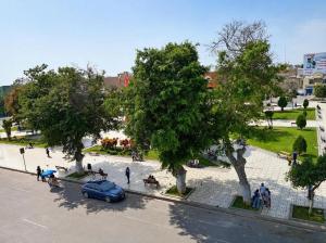 a group of people standing around a park with trees at Regency Plaza Hotel in Pisco
