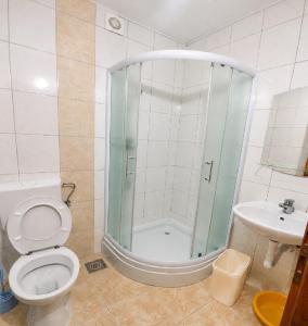 a bathroom with a shower and a toilet and a sink at Rooms Ava Raj in Međugorje
