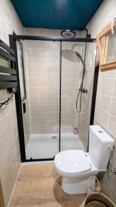 a bathroom with a shower with a toilet and a shower at Entre Bois & Cévennes in Anduze +9 photos