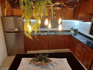 a kitchen with a sink and a table with a plant at Casa con dos Dormitorios in Encarnación