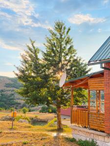a tree in front of a house with a building at Village house Gutovic in Rudinice