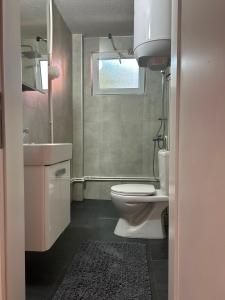 a bathroom with a toilet and a sink and a window at Mila apartments in Prilep +21 photos
