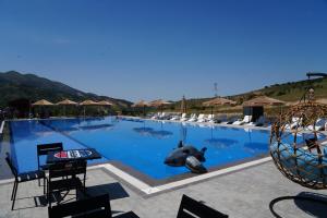 a swimming pool with a dolphin in the water at Fayz Mount Residence in Chimgan