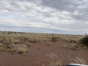 a large open field with tall grass and weeds at Opiklip Wild Camping in Pofadder +2 photos