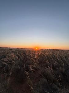a field of tall grass with the sunset in the background at Opiklip Wild Camping in Pofadder