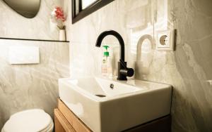 a bathroom with a sink and a toilet at Meikever in Putten +24 photos