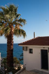 a palm tree next to a house and the ocean at OdeSea Aegean Studios in Plomari