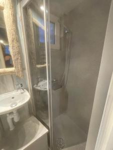 a bathroom with a shower and a sink at Lille Degnboel Tiny House in Hjørring