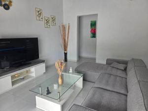 a living room with a gray couch and a tv at VILLA Orchidée in Le Moule