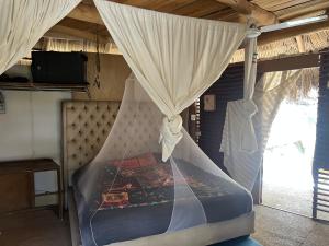 a bed in a room with a mosquito net at Casa Alma in Sayulita