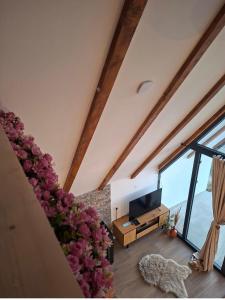 a living room with a large window and a television at Ninina koliba-vikendica Manjaca in Hiseti