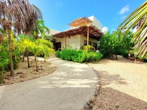 a house with palm trees in front of a driveway at Private luxury villa in Holbox Island