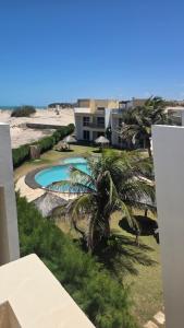 a view of a resort with a palm tree and a pool at Canoa Breeze - Beach Front in Canoa Quebrada