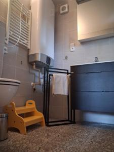 a bathroom with a toilet and a sink at Ádova chatová osada in Úbislav