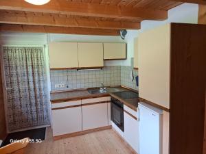 a kitchen with white cabinets and a sink at Haus Mooswald in Lechleiten +26 photos