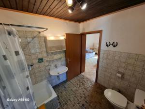 a bathroom with a toilet and a sink and a shower at Haus Mooswald in Lechleiten