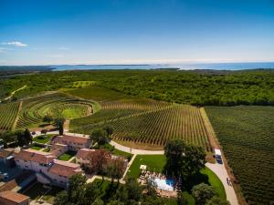 uma vista aérea de uma exploração com um grande campo de vinhas em Meneghetti Wine Hotel and Winery - Relais & Chateaux em Bale
