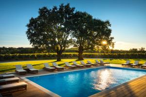 Bazén v ubytování Meneghetti Wine Hotel and Winery - Relais & Chateaux nebo v jeho okolí