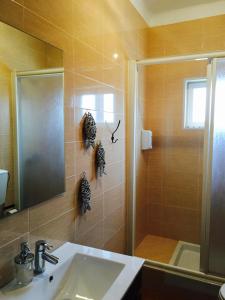 een badkamer met een wastafel en een douche bij Alojamento Espigas in Azoia