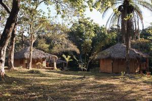 a couple of huts in a field with trees at Adama Eco Farm in Santa Catalina