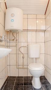 a bathroom with a toilet and a sink at Atina Apartments in Peštani +20 photos