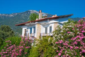 a house on a hill with pink flowers at Marvera Hotel in Fethiye