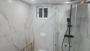 a bathroom with a shower with a glass door at Boeing AL Q1 in Moreira